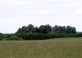 Mišučių piliakalnis