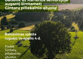 Balsuok už Gintarų piliakalnio ąžuolą!