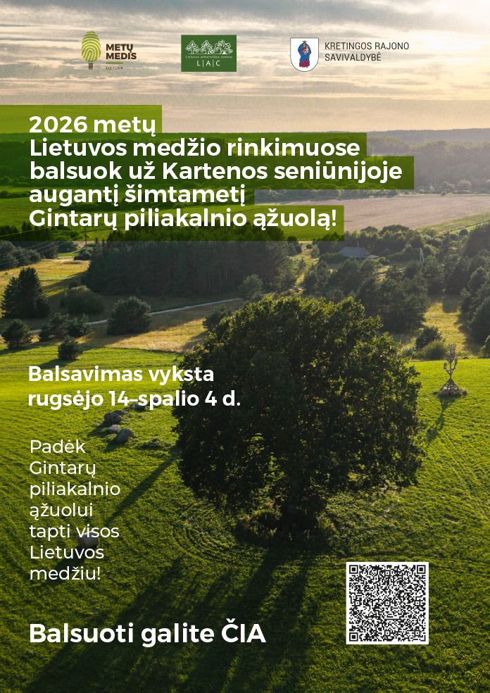 Balsuok už Gintarų piliakalnio ąžuolą!
